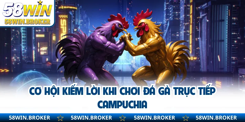 Đá Gà Trực Tiếp Campuchia - Cược Nhanh Trúng Thưởng Lớn 1 Cơ hội kiếm lời khi chơi đá gà trực tiếp Campuchia