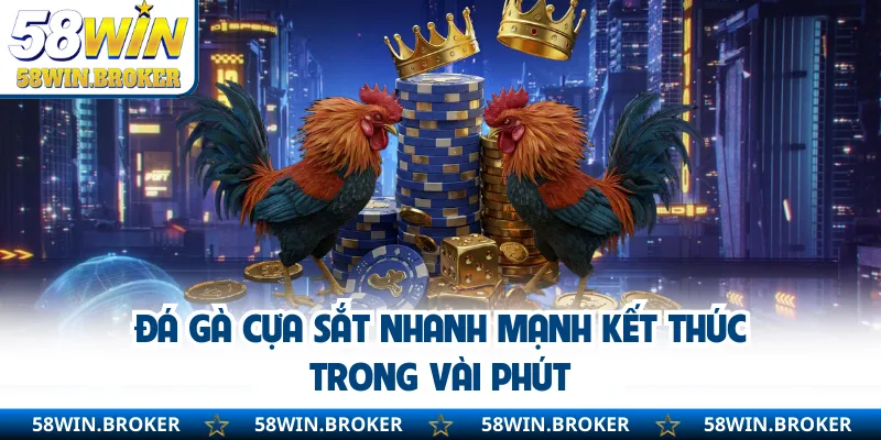 Đá Gà Trực Tiếp Campuchia - Cược Nhanh Trúng Thưởng Lớn 2 Đá gà cựa sắt nhanh mạnh kết thúc trong vài phút