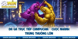 Đá Gà Trực Tiếp Campuchia - Cược Nhanh Trúng Thưởng Lớn